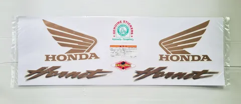 Honda Hornet view 5
