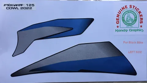 Bajaj Discover 125 view 19