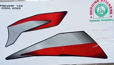 Bajaj Discover 125 view 8