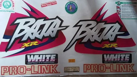 Honda Baja XR view 5